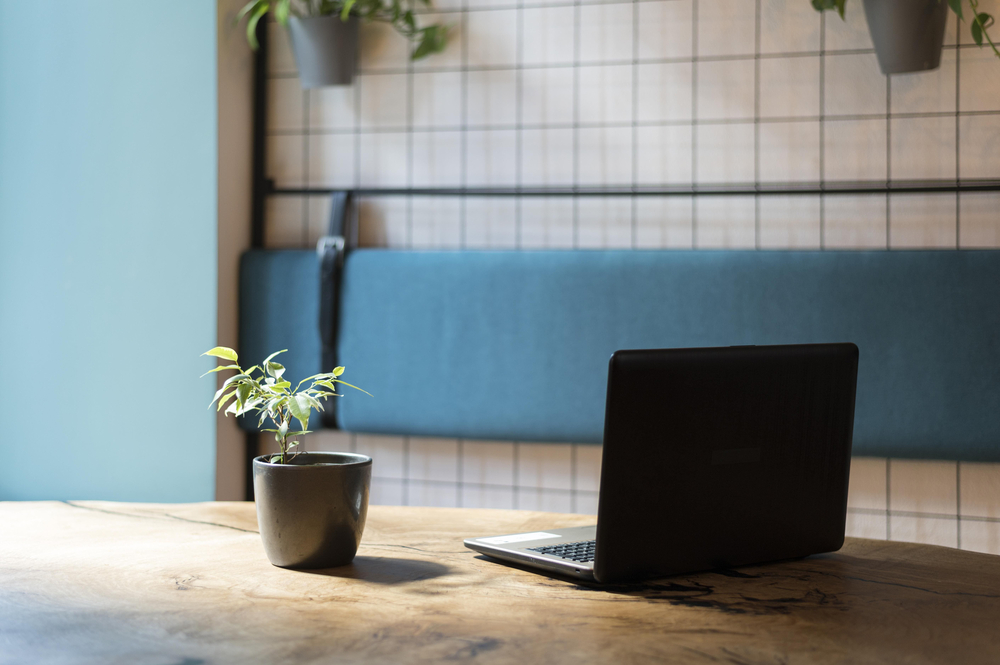 Why Xiaohongshu's low-view livestreams generate 10x GMV? The platform's 3 unique advantages revealed