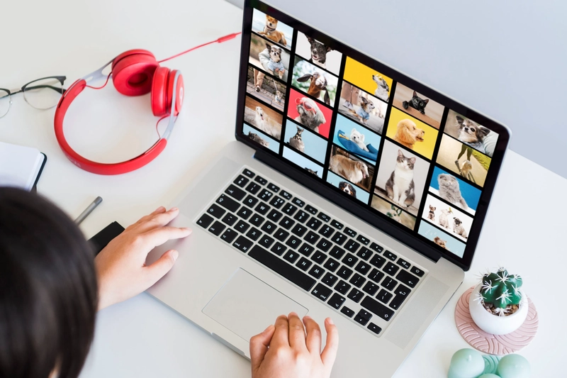 See How Easily You Can Master the Messy Middle